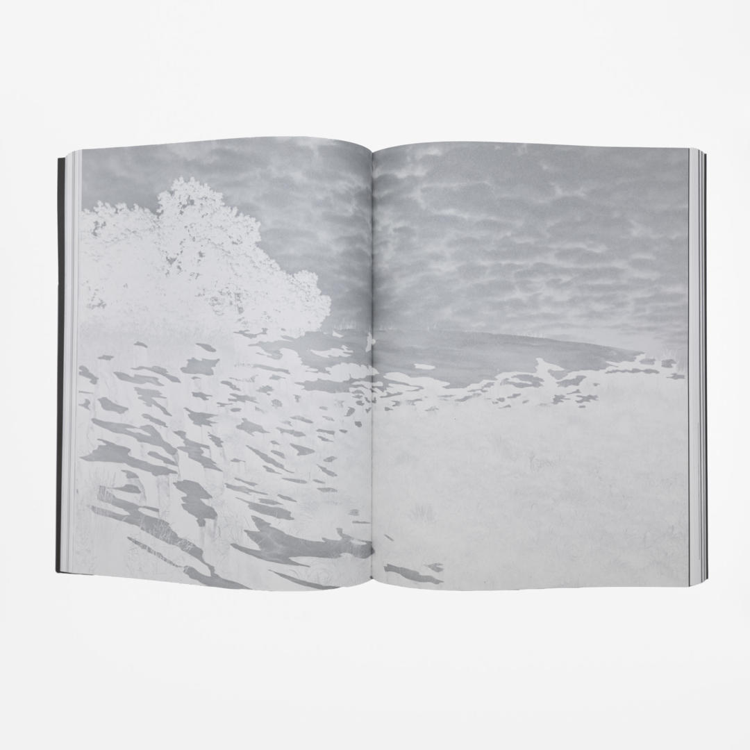 graficheveneziane0724-104